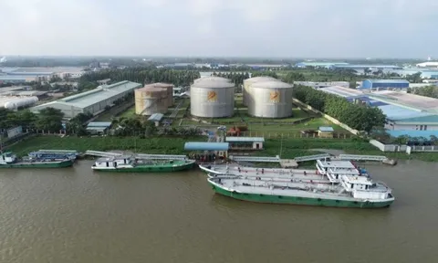 Miễn nhiệm Tổng Giám đốc Công ty dầu khí Nam Sông Hậu