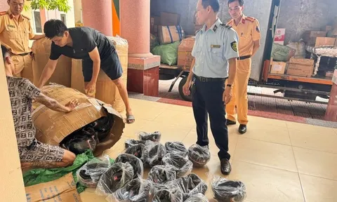 Hàng trăm chiếc mũ bảo hiểm giả mạo thương hiệu Honda bị phát hiện