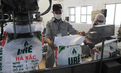'Quả đấm thép' một thời báo lỗ gần 100 tỷ trong quý 3/2025 do ngừng máy dài ngày, lỗ lũy kế hơn 2.100 tỷ đồng