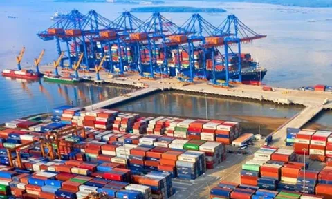 Cổ phiếu công ty sở hữu đội tàu container lớn nhất Việt Nam bất ngờ tăng "dựng đứng" trước thềm họp ĐHCĐ bất thường