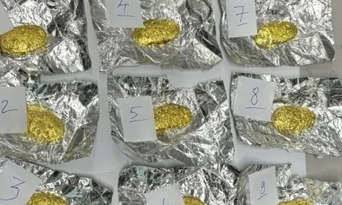 3 nhân vật bí ẩn trong đường dây buôn lậu nửa tấn vàng từ Trung Quốc về Việt Nam