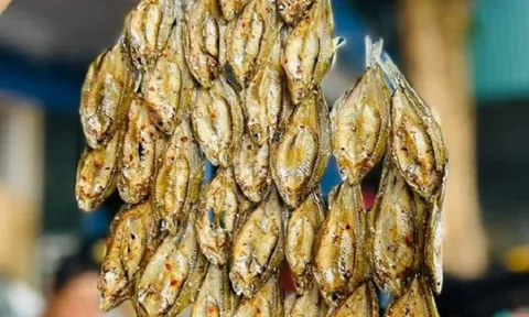Loại cá tên lạ xưa có đầy không ai biết, nay hóa đặc sản đắt đỏ, dân thành phố săn lùng 300.000 đồng/kg
