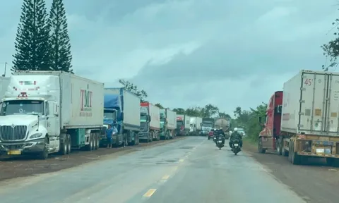 Gần 2.000 container sầu riêng ùn ứ, Hiệp hội Sầu riêng Đắk Lắk kêu cứu Thủ tướng