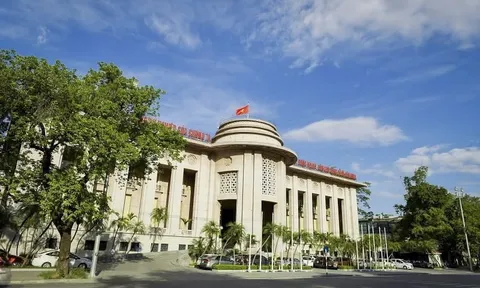 Ngân hàng Nhà nước cảnh báo thủ đoạn mua USD tiền mặt để trục lợi từ chênh lệch tỷ giá