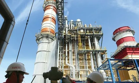Hàng loạt công ty điện báo lãi lớn