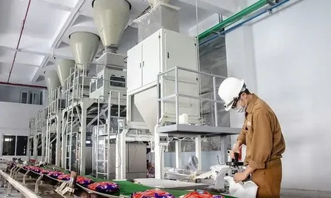 Hóa chất Đức Giang ‘ôm’ hơn 12.700 tỷ đồng tiền gửi ngân hàng, quý III/2025 lãi ròng 804 tỷ đồng