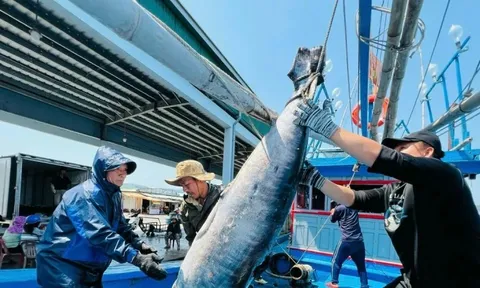 Gỡ thẻ vàng thủy sản: 'Chúng ta không còn chỗ cho sai sót'