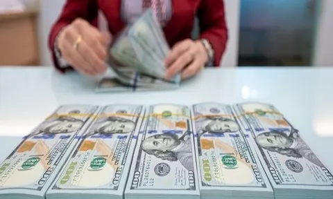 Tỷ giá USD hôm nay 29/10: Ngân hàng và thị trường tự do đồng loạt giảm