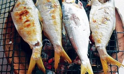 Loài cá được mệnh danh 'vua cá sông Hậu': Quý hiếm, có tiền cũng khó mua