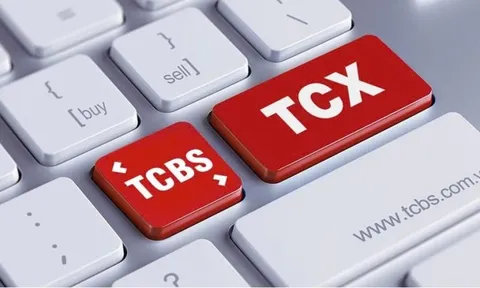 TCX - Cổ phiếu Việt hiếm hoi “lọt mắt xanh” MSCI ngay sau niêm yết