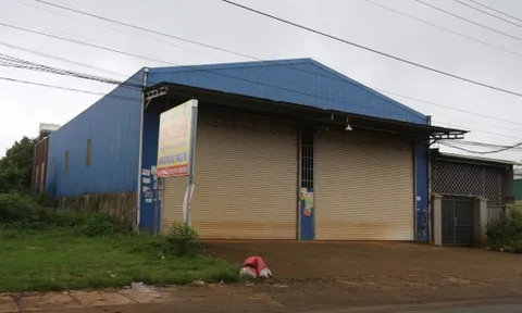 Đắk Lắk: Hàng loạt kho sầu riêng im lìm vào cuối vụ