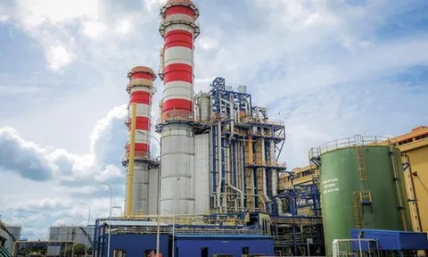 Dragon Capital không còn là cổ đông lớn tại Hóa chất Đức Giang