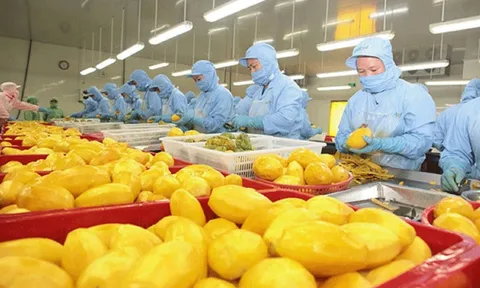 Kim ngạch xuất khẩu tăng nóng gần 40%, một mặt hàng của Việt Nam khiến Trung Quốc sẵn sàng chi tỷ đô