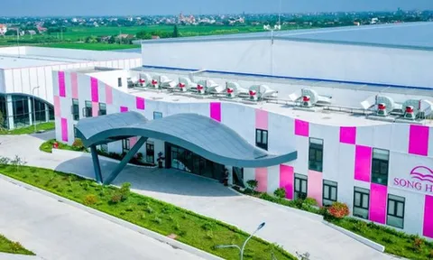 FPTS đăng ký bán gần 1,2 triệu cổ phiếu MSH