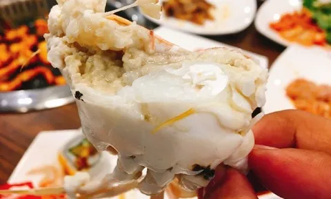 'Kho báu dưới nước' giúp Việt Nam bỏ túi gần 58 triệu USD, Mỹ - Pháp - Úc 'mê mẩn' săn lùng