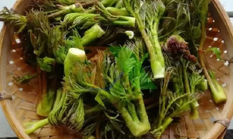 Loại rau được ví là 'cao lương mỹ vị số 1 thế giới': Việt Nam có nhưng ít ai biết, giá tới 400.000 đồng/kg