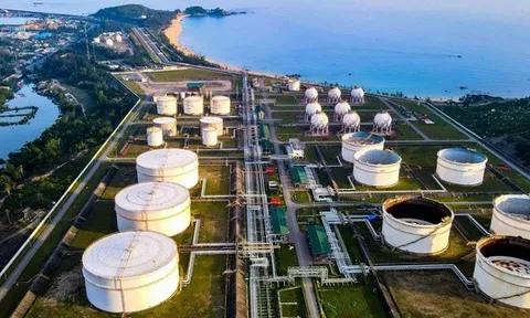 Lọc hóa dầu Bình Sơn tăng vốn điều lệ vượt 50.000 tỷ đồng sau phát hành cổ phiếu