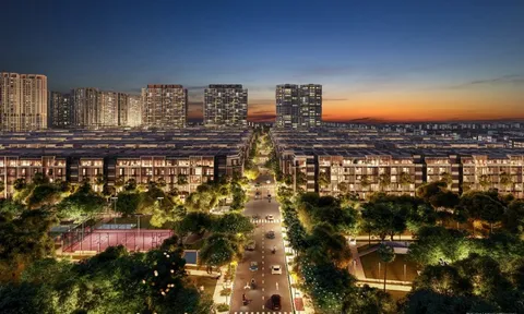 Biệt thự compound: Từ phân khúc khan hiếm đến vị thế biểu tượng tại trung tâm TP.HCM