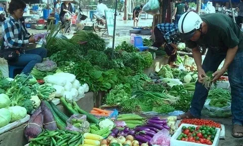 Rau củ lũ lượt đội giá 'trên trời' sau bão Kalmaegi