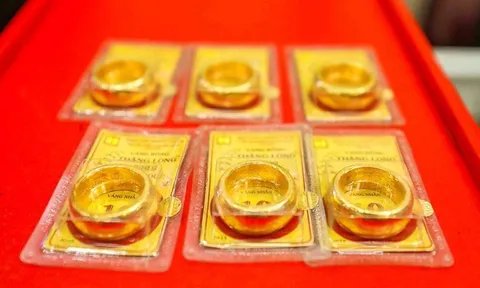 Giá vàng SJC, giá vàng nhẫn trơn sáng nay ngày 7/11