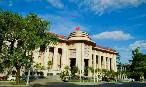 Ngân hàng Nhà nước bơm ròng hơn 56.000 tỷ đồng