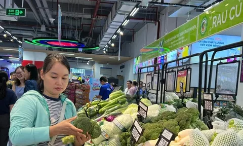 Sản lượng rau củ về TPHCM giảm mạnh: Giá tăng chóng mặt