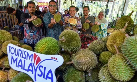 Malaysia cân nhắc đưa sầu riêng trở thành 'quốc quả', đề nghị chọn 7-7 là Ngày Sầu riêng Quốc gia