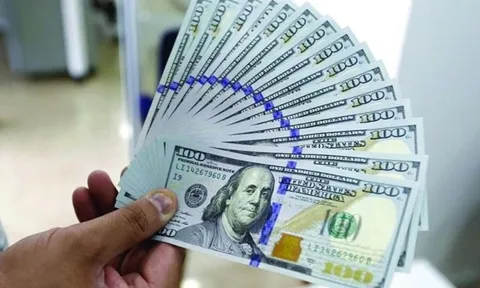 Kho bạc Nhà nước phát thông báo mua 100 triệu USD từ các ngân hàng