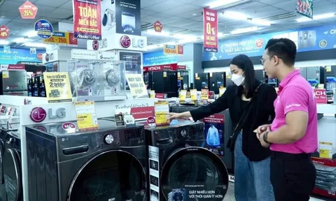 Một mặt hàng bán chạy 'như tôm tươi' tại Hà Nội những ngày qua, giá từ vài trăm đến mấy chục triệu đều được săn đón