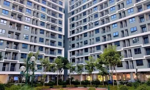 Siết chặt vi phạm nhà ở xã hội, đề xuất phạt đến 300 triệu đồng