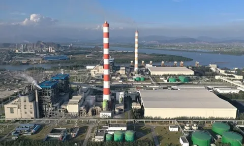 Nhiệt điện Hải Phòng: Lần đầu báo lỗ và lương lãnh đạo tăng gấp đôi trong năm 2025