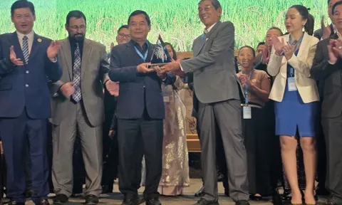 Gạo ST25 lần thứ 3 được vinh danh ‘Gạo ngon nhất thế giới’