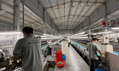 Bên trong nhà máy sợi tơ tằm xuất khẩu giá 1,6 triệu đồng/kg của Bầu Đức có gì?