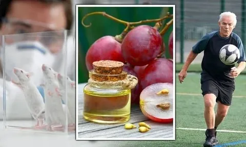 Startup Trung Quốc chế tạo được sản phẩm mà Tần Thủy Hoàng dành cả đời theo đuổi