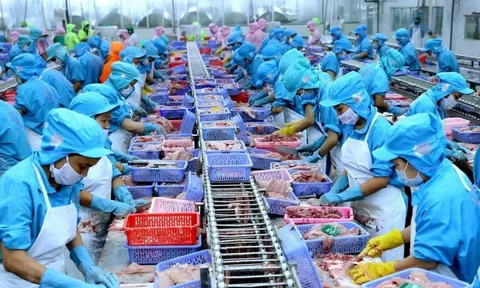 Ngành tỷ đô của Việt Nam đứng trước nguy cơ 'vỡ trận' vì thiếu người, lương 11 triệu cũng không ai chịu làm vì lý do này