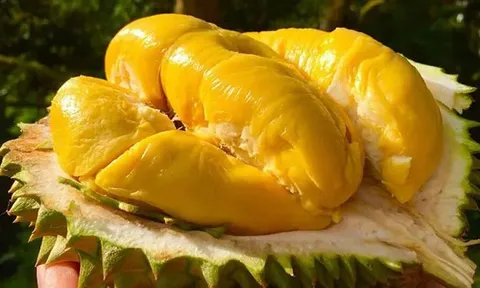 Một mặt hàng 'vàng' của Việt Nam bứt phá ngoạn mục tại Trung Quốc