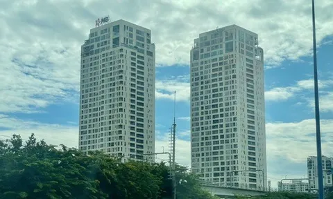 Luật gia Nguyễn Thị Sơn: Giá nhà đất tăng không hẳn do đầu cơ