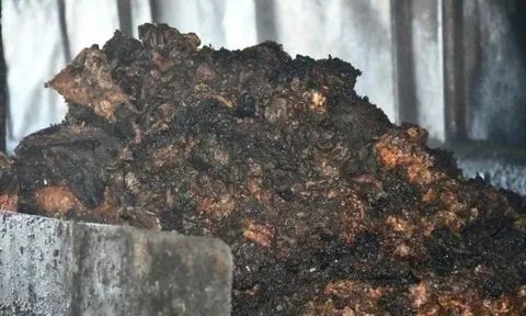 Kinh hoàng: Phát hiện lò chế biến mỡ bẩn giữa nghĩa trang, hoạt động lén lút suốt thời gian dài