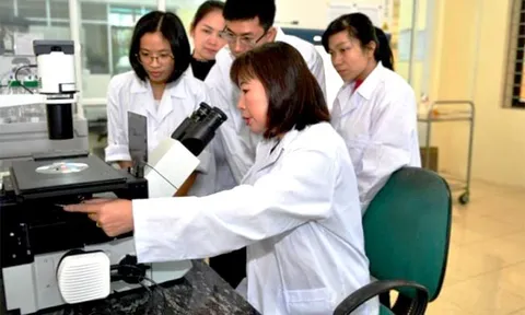 Tại TP.HCM những người làm công việc này có thể được nhận lương tới 100 triệu đồng/tháng và thưởng tối đa 1 tỷ