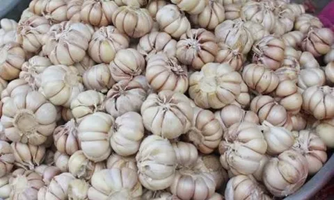 Mỗi tháng người Việt chi hơn 350 tỷ đồng cho tỏi nhập khẩu từ Trung Quốc, vừa rẻ vừa dễ bóc