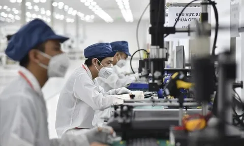 Đẩy mạnh ứng dụng trí tuệ nhân tạo thu thập, xử lý thông tin thống kê ngành khoa học và công nghệ