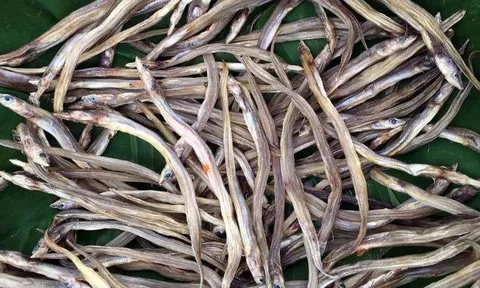 Loài cá nhỏ 'như chiếc đũa tre' ở miền Tây: Xưa rẻ bèo, nay phơi khô bán 200.000 đồng/kg, ăn một lần là nhớ cả đời