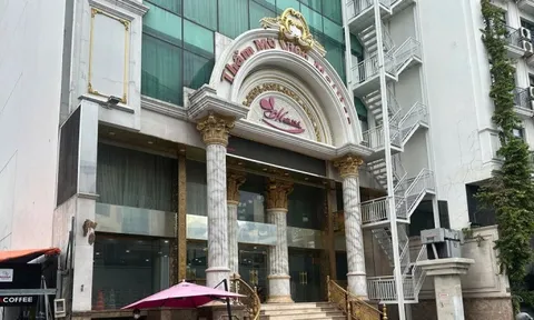 Trụ sở chính Mailisa ở TPHCM đóng cửa sau khi nữ giám đốc bị khởi tố