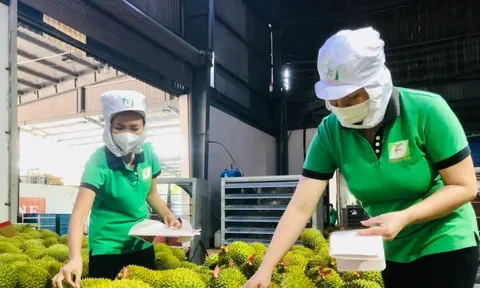 Rau quả Việt xuất khẩu gây bất ngờ