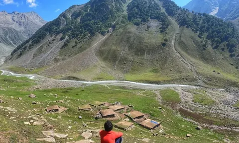 Nghề như 'cướp' ra tiền, không cần bằng cấp: Làm 1 tháng sống khỏe 2 năm, vẫn không ai chịu làm