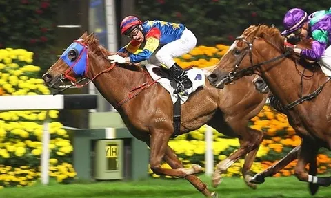 UBCKNN “bật đèn xanh”, SSI sắp tăng vốn điều lệ vượt TCBS, lấy lại “ngôi vương” ngành chứng khoán