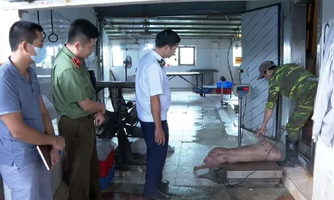 Vợ chồng chủ trang trại ở Hưng Yên tuồn thịt lợn nhiễm dịch tả châu Phi ra thị trường