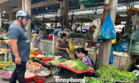 Giá rau xanh tại TPHCM 'giảm nhiệt', người tiêu dùng thở phào