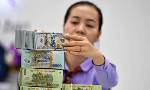 Tỷ giá USD/VND tăng 7,7% từ đầu năm, áp lực lên VND tiếp tục gia tăng