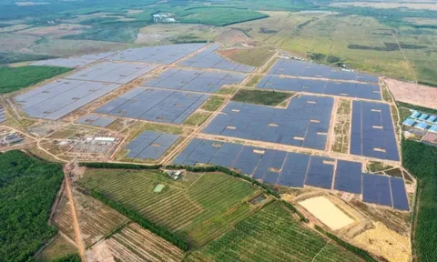 "Trùm" điện gió, điện mặt trời Thái Lan kiếm hơn 2.100 tỷ tại Việt Nam sau 9 tháng